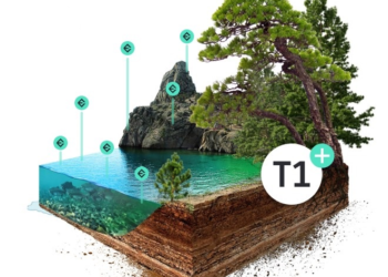 Breaking: Tier 1 Properties & Essence Distribution Commitment