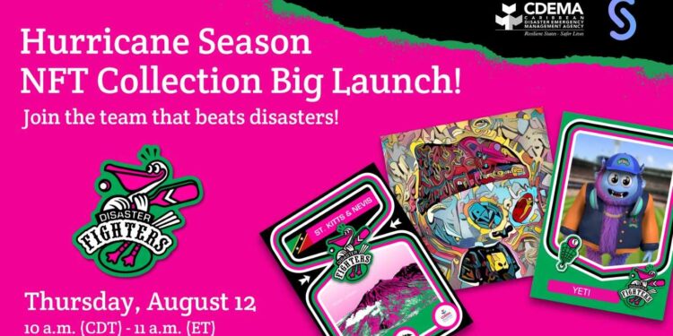 A Social Impact Project With Nfts