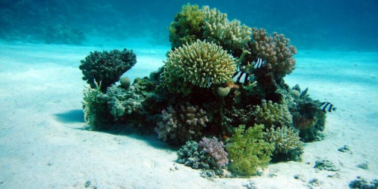 The Sandbox revisited an area of demand, the sellers have been…