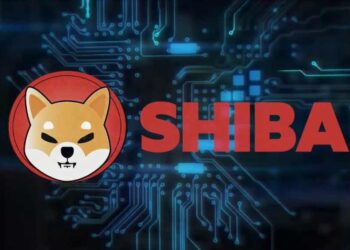 Shib’s massive decline cost big whale nearly half of his holdings