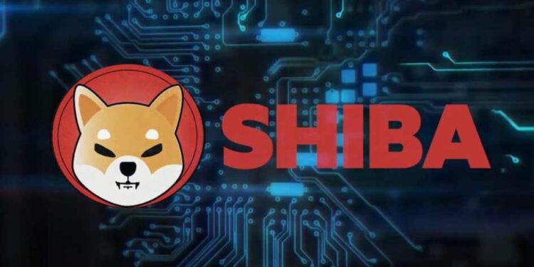 Shib’s massive decline cost big whale nearly half of his holdings