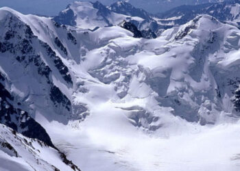 Avalanche [AVAX] and what it ‘defying’ Bitcoin means going forward