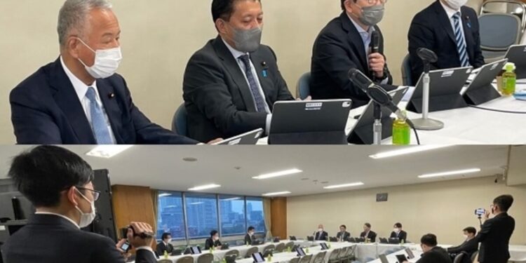 Japanese Ruling Party Launches NFT Task Force, Eyes New Growth in the Sector