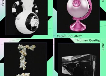 Store Of The Week: Explorins & Pelai Virtual Gallery