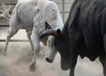 Coinbase report looks beyond wash trading to reveal the truth about OpenSea’s competitor