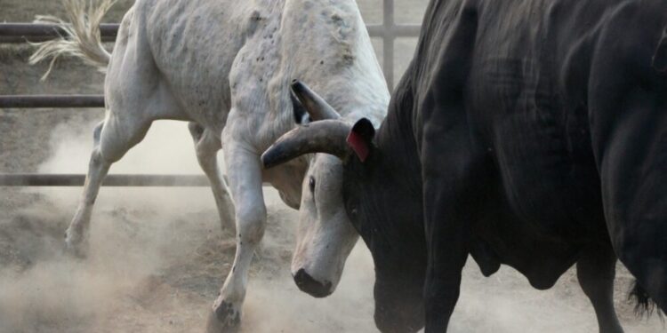 Coinbase report looks beyond wash trading to reveal the truth about OpenSea’s competitor