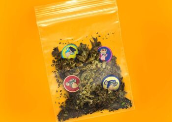 Bored Ape Yacht Club members want to build an empire, starting with weed