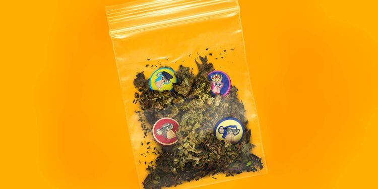 Bored Ape Yacht Club members want to build an empire, starting with weed