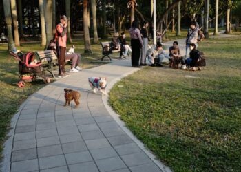 Will Shiba Inu’s latest foray into the metaverse be its loudest bark yet