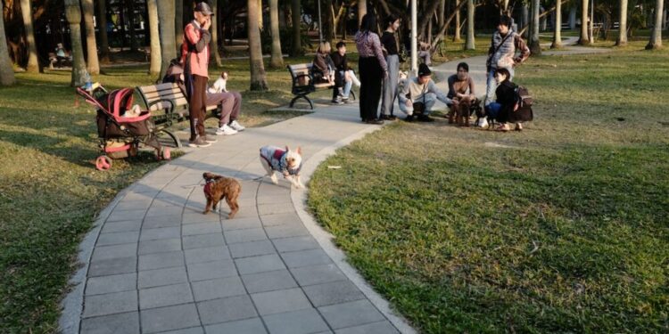 Will Shiba Inu’s latest foray into the metaverse be its loudest bark yet