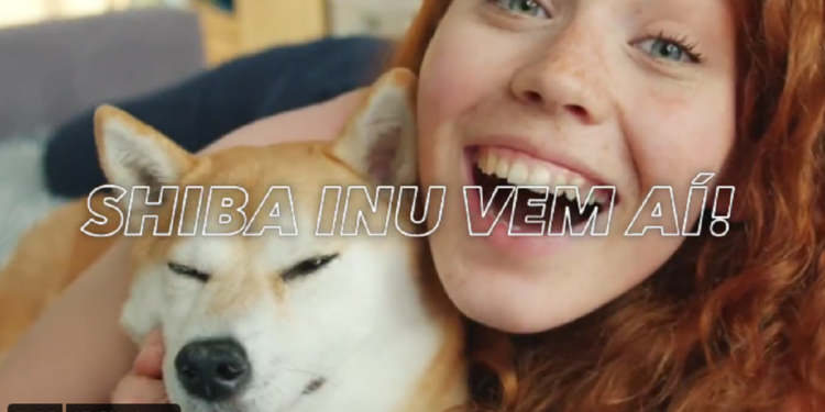 Shiba Inu (SHIB) To List on Foxbit; SHIB Price Up By 70% in Last Week