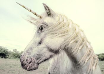 Have we hit peak unicorn?