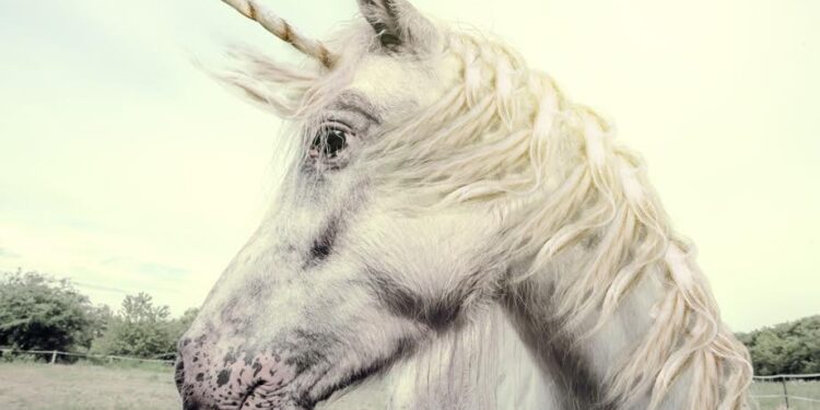 Have we hit peak unicorn?