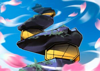 Top coins to buy in a bear market