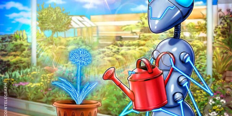 Decentralization, DAOs and the current Web3 concerns