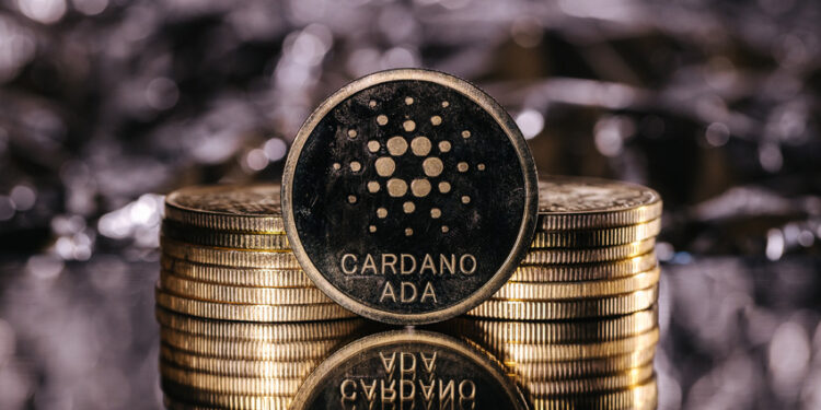 What Is the Cardano Ecosystem?