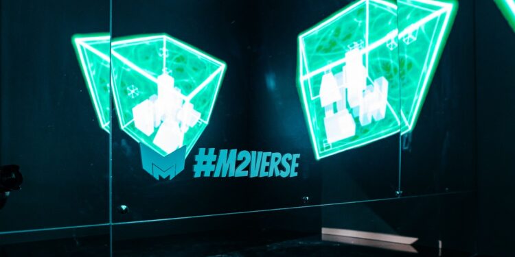 MetaMetaverse aims to make the metaverse interoperable