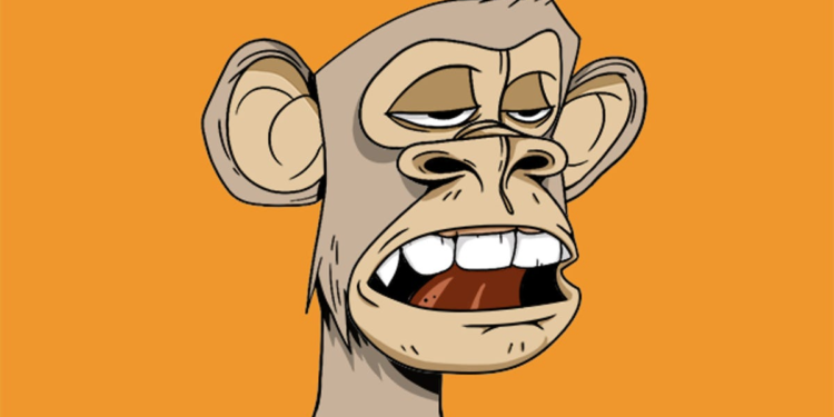 NFTs Are Evolving: Bored Ape Yacht Club Is Getting a Metaverse