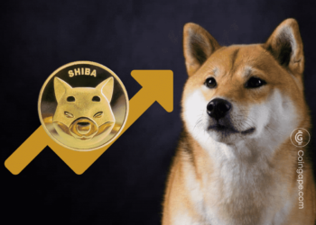 Shiba Inu (SHIB) Now The Largest Token Held By Ethereum Whales