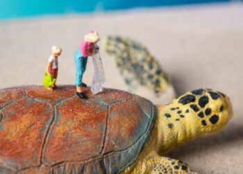 Next Earth and SEE Turtles Collaborate on a Metaverse Charity Game