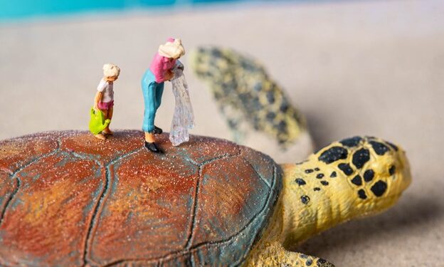 Next Earth and SEE Turtles Collaborate on a Metaverse Charity Game