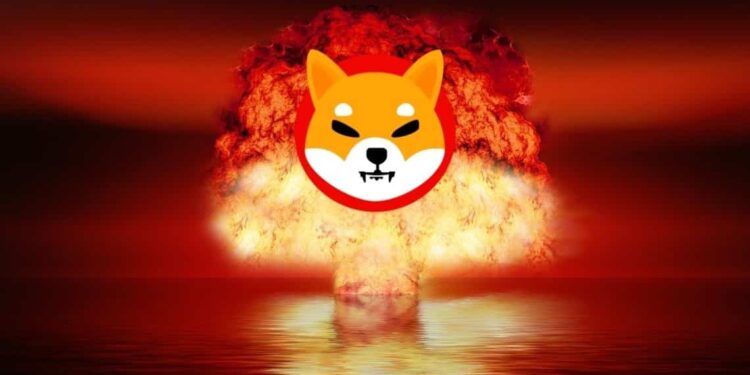 Developer Alerts Shiba Inu Investors For Potential SHIB Scams