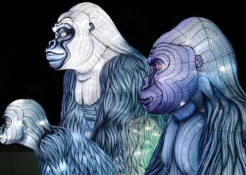 Decoding the reason behind meteoric rise in floor prices of these top NFT collections