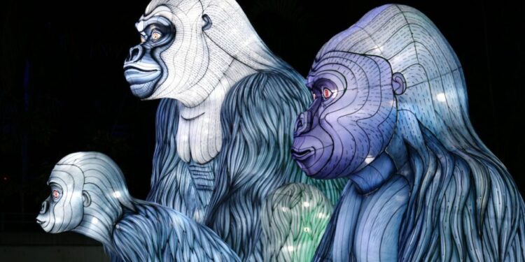 Decoding the reason behind meteoric rise in floor prices of these top NFT collections