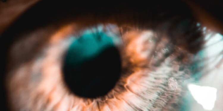 Adding LOOKS to your portfolio? Here’s why you should think twice