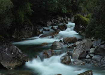 After MENA and APAC, this is the region Ripple could be looking at next