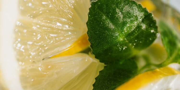 The Nightly Mint: Daily NFT Recap