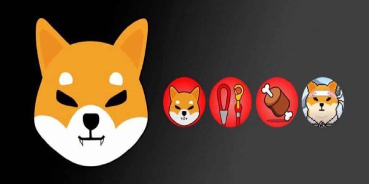 Shibarium Dev Says TestNet Close To Launch, Will Shiba Inu Rally?