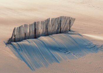 SAND: LAND sales to transaction volumes, here’s everything that is ailing the token