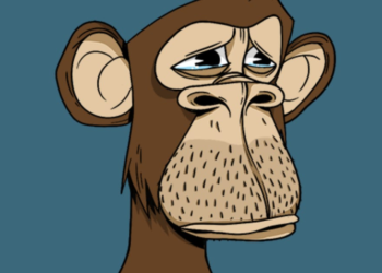 Are NFTs Collapsing? Yes, But So Is Everything Else