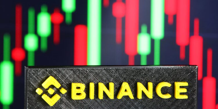 Binance backing for Elon Musk’s Twitter bid boosts ‘Web3’ vision