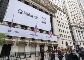 Palantir Growth Slows, Sending Stock Down More Than 20%