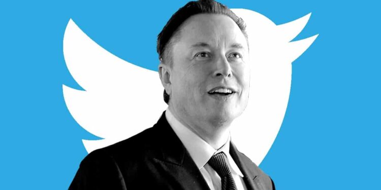 The Elon Musk Effect? ApeCoin Skyrockets Minutes After Twitter Callout