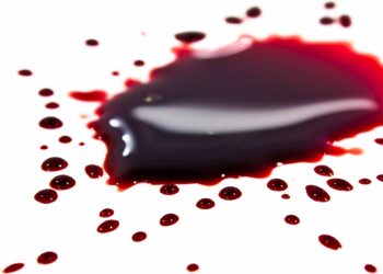 APE, AVAX, SOL, SHIB All Lose 20% In Crypto Crash