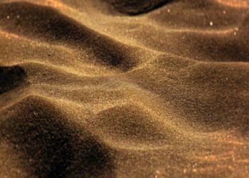 Will The Sandbox [SAND] investors mend their ways after this market crash