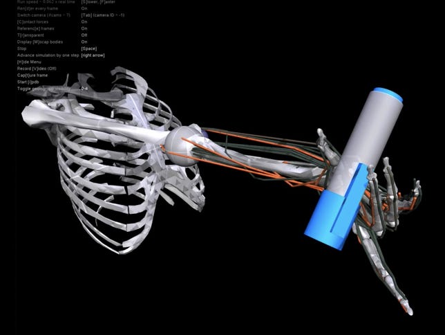 A simulation of a human skeleton rotating a grey and blue pen.