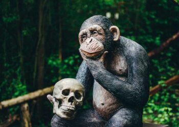 ApeCoin sees declines despite Otherside’s raging success, what’s going on