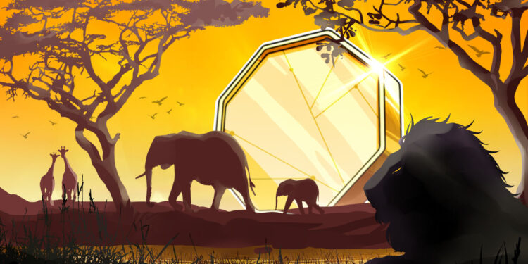 Central African Republic president launches crypto initiative following Bitcoin adoption