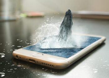 Crypto Whales Accumulate These Altcoins Amid Price Dip