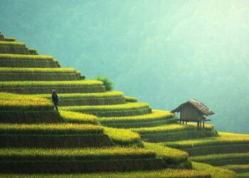 As Tron marks its fourth anniversary, this is what investors need to know about TRX