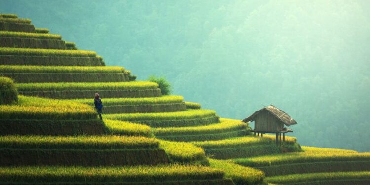 As Tron marks its fourth anniversary, this is what investors need to know about TRX