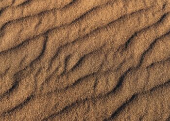 Will the ‘The Sandbox x Mastercard’ partnership generate positive returns