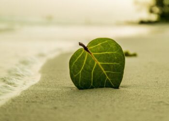 SAND at May levels after 100% gain- Here’s what could follow next