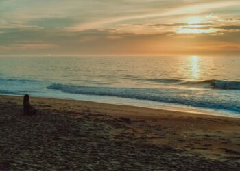 Cardano: Here’s how ADA is doing after a bearish Q2 behind it