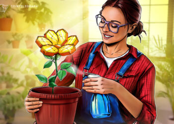 The ideal long-term cryptocurrency investment?