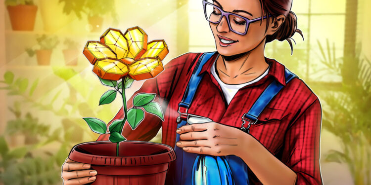 The ideal long-term cryptocurrency investment?